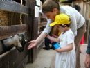 Tzeirei Chabad Announces Volunteer Program for Children Affected by Terror