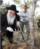 JNF Hosts the Chabad Convention on a Tour of the Carmel and in Prayer in memory of the Fallen