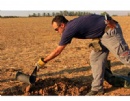 5 additional rockets fired at Israel